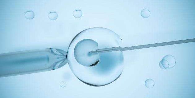 鲜囊胚移植第二天的重要性，游走和分裂的情况分析